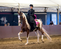 Native Costume & Side Saddle Classes
