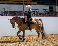 Class 118 Arabian Western Pl - Open