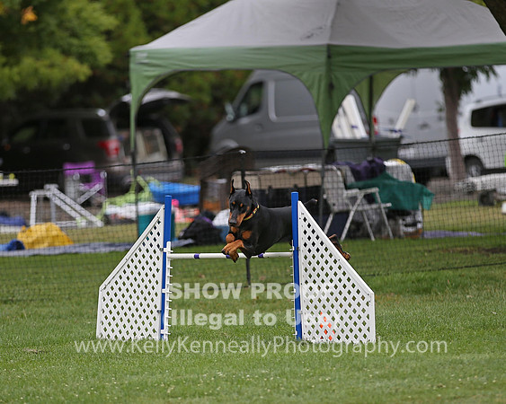 SCAC_Trials_0816_Fri_0001