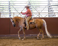 Class 46 HA Western Pleasure - Gentlemen to Ride