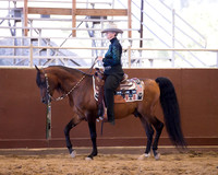 Class 64 Western Horsemanship - AATR 19 & Over