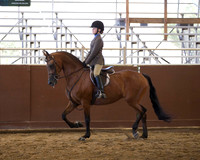 Class 193 HA Hunter Pleasure - JTR 18 Yrs/Under