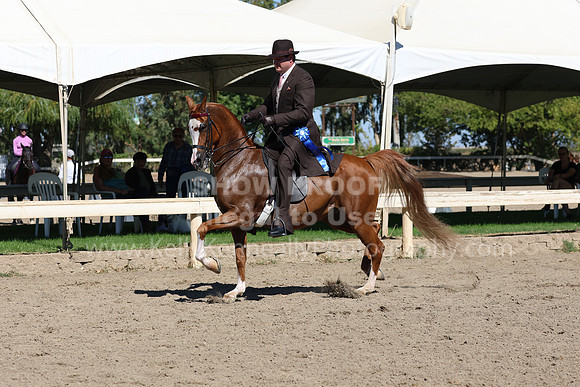 DAHA_FF22_0694