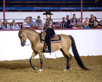 Class 295 HA Western Pl - AAOTR 19-49 Yrs Old