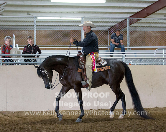 RedBluff_2016_Sun_1829