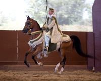 Class 236 Arabian Mounted Native Costume
