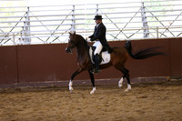 Class 230 Arabian English Show Hack - ATR