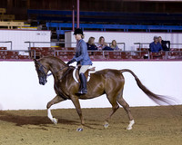 Class 133 HA Hunter Pl - AATR Choice/Elite