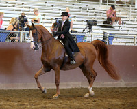 Class 329 A/HA/AA Walk-Trot Saddle Seat Equitation - 10 Yrs & Under