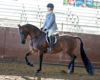 Class 44 - HA/AA Hunter Pl JTR 13 & Under