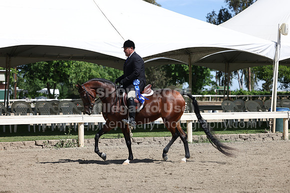 DAHA22_Thurs_0797