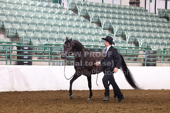 R322_CH_Thurs_2604