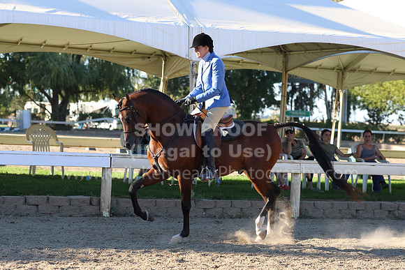DAHA_FF22_3517