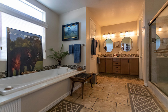 RS_MainHouse_MasterBath_0561