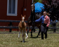 ShermanRanch0524_3630