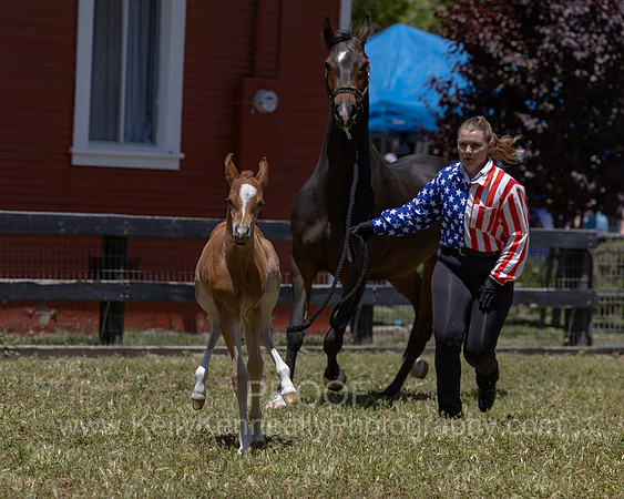 ShermanRanch0524_3630