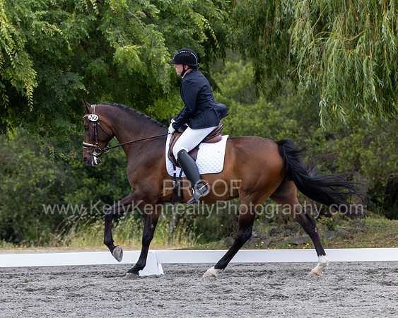 KalypsosKrownRoyal22-3538