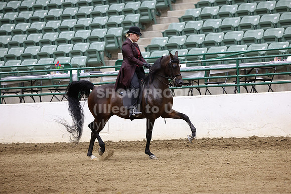 R322_CH_Thurs_3708