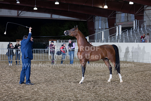 AHANC22_R5_Wed_0691