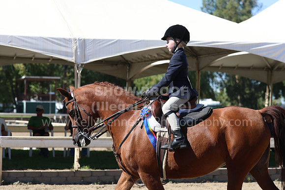 DAHA_FF22_3241