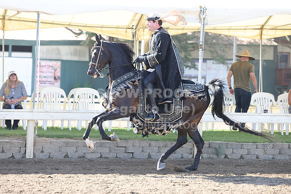 DAHA22_Sun_3106