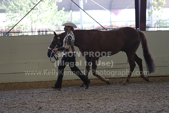 AHANC21_Wed_0054