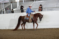 AHANC21_Wed_0113