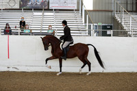 Class 8 HA/AA Hunter Pleasure - Jr Horses