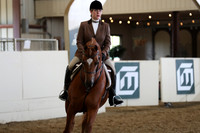 Class 14 HA/AA Hunter Pleasure - AAOTR 40 & Over