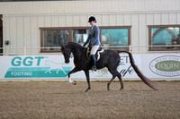 Class 19 HA/AA Hunter Pleasure - Limit Horses