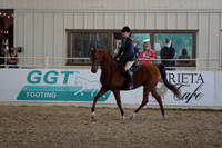 Class 28 Arabian Hunter Pleasure -  AATR Select Riders