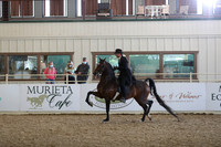 Class 30 HA/AA English Pleasure - Open