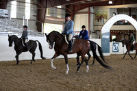 Class 38 HA/AA Hunter Pleasure  - JTR Select Rider