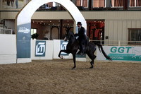 Class 39 HA/AA English Pleasure - Jr Horses