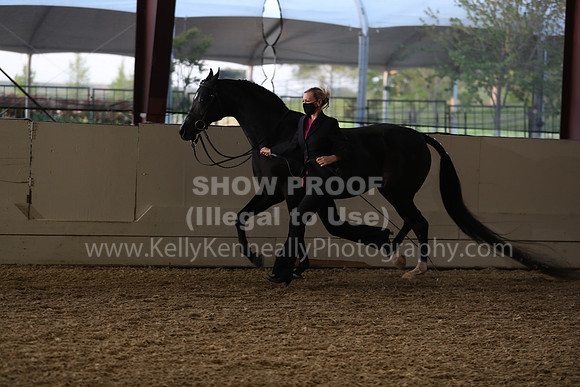 AHANC21_Wed_1121