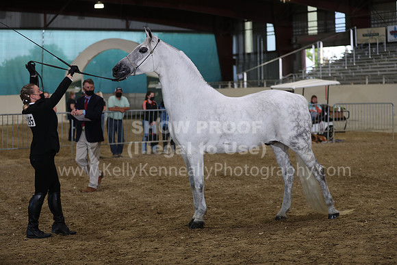 AHANC21_Wed_1128