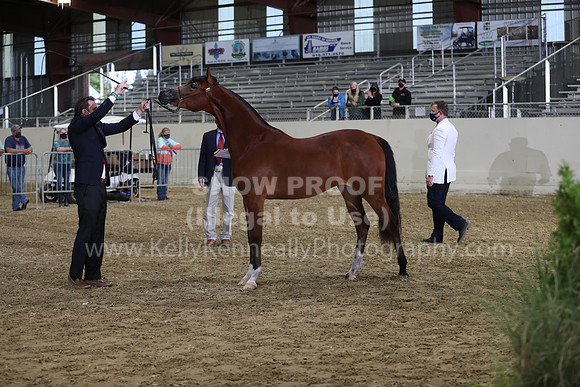 AHANC21_Wed_1174