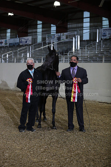 AHANC21_Wed_1193