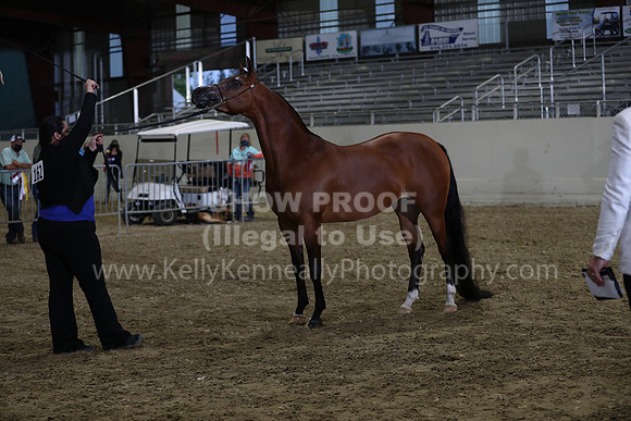 AHANC21_Wed_1212