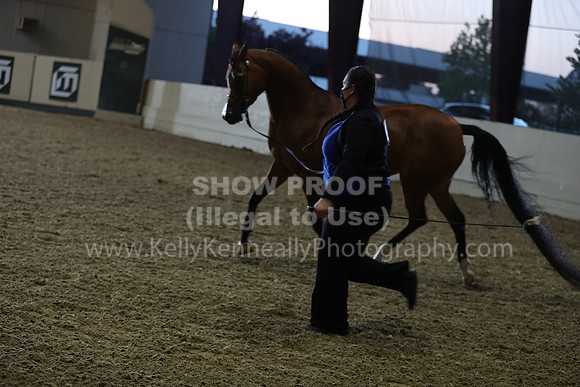 AHANC21_Wed_1220
