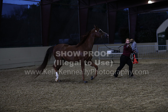 AHANC21_Wed_1237