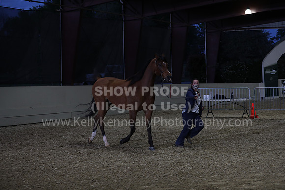 AHANC21_Wed_1244