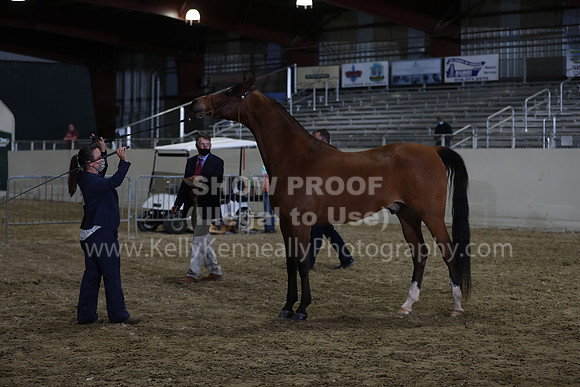 AHANC21_Wed_1253