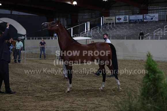 AHANC21_Wed_1271