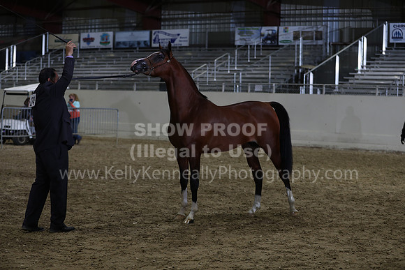 AHANC21_Wed_1273
