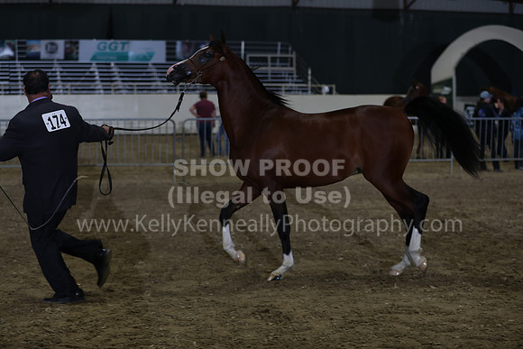 AHANC21_Wed_1279