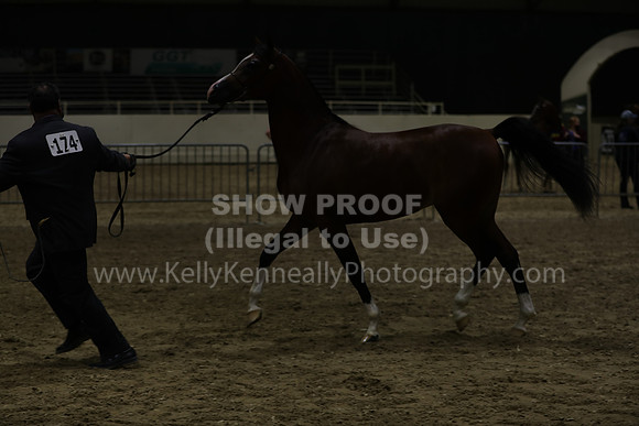 AHANC21_Wed_1280