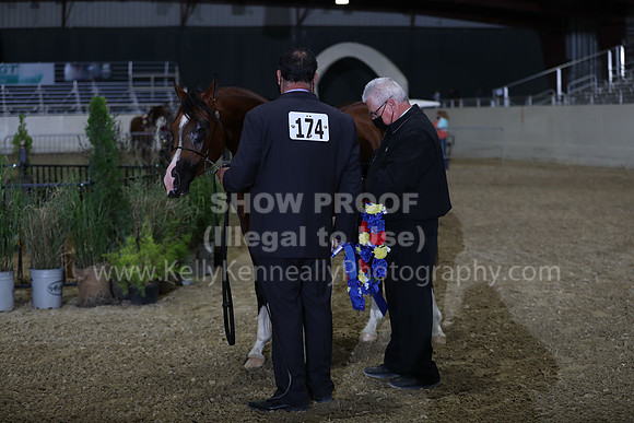 AHANC21_Wed_1287