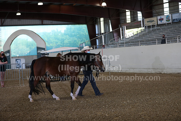 AHANC21_Wed_0948