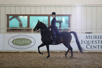 Class 93 Arabian Country English Pleasure - JTR 18 & Under